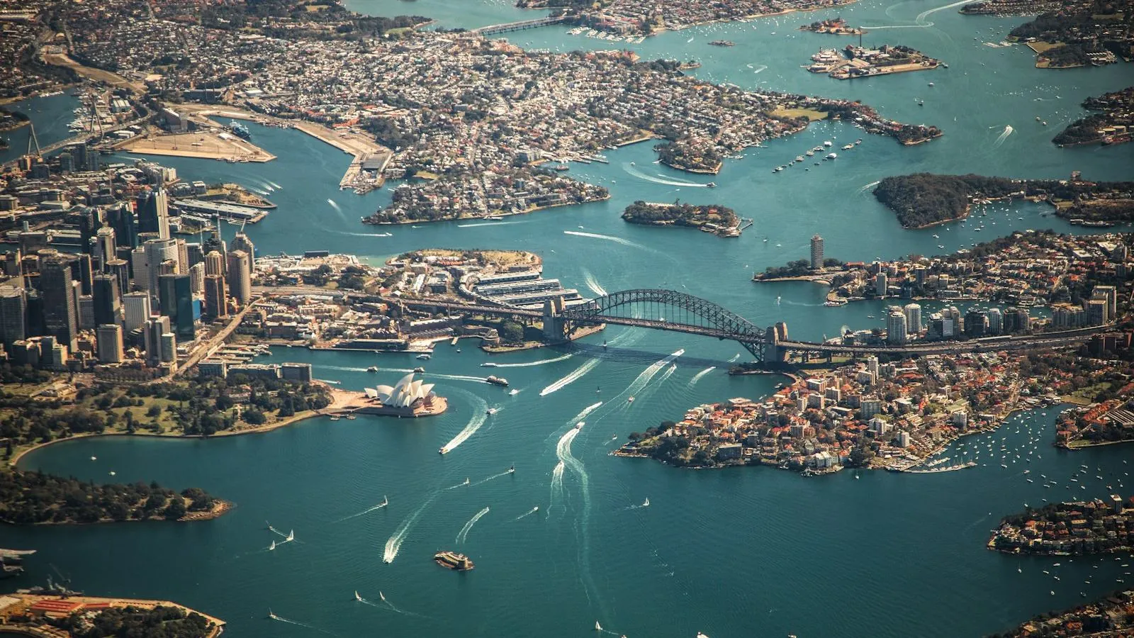 Sydney Harbour from the air